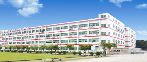 麻豆精品视频公司简介