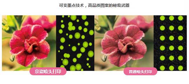  麻豆精品视频数码