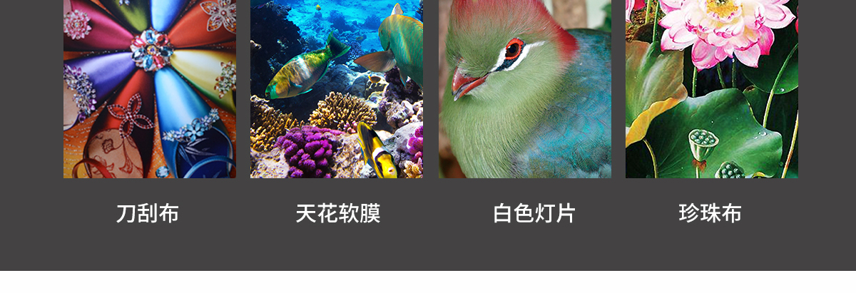 ht1600麻豆APP下载免费版