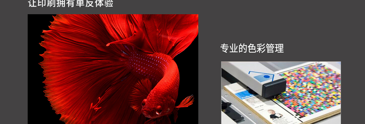 ht1600麻豆APP下载免费版