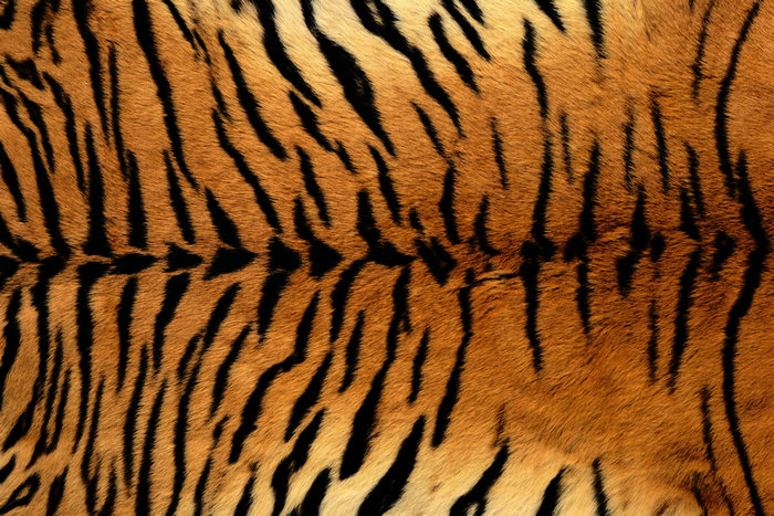 麻豆精品视频UV打印机打印案例 麻豆精品视频UV打印机打印案例